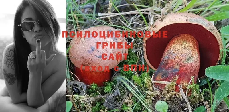 наркота  ссылка на мегу зеркало  Галлюциногенные грибы Psilocybine cubensis  Рыбинск 